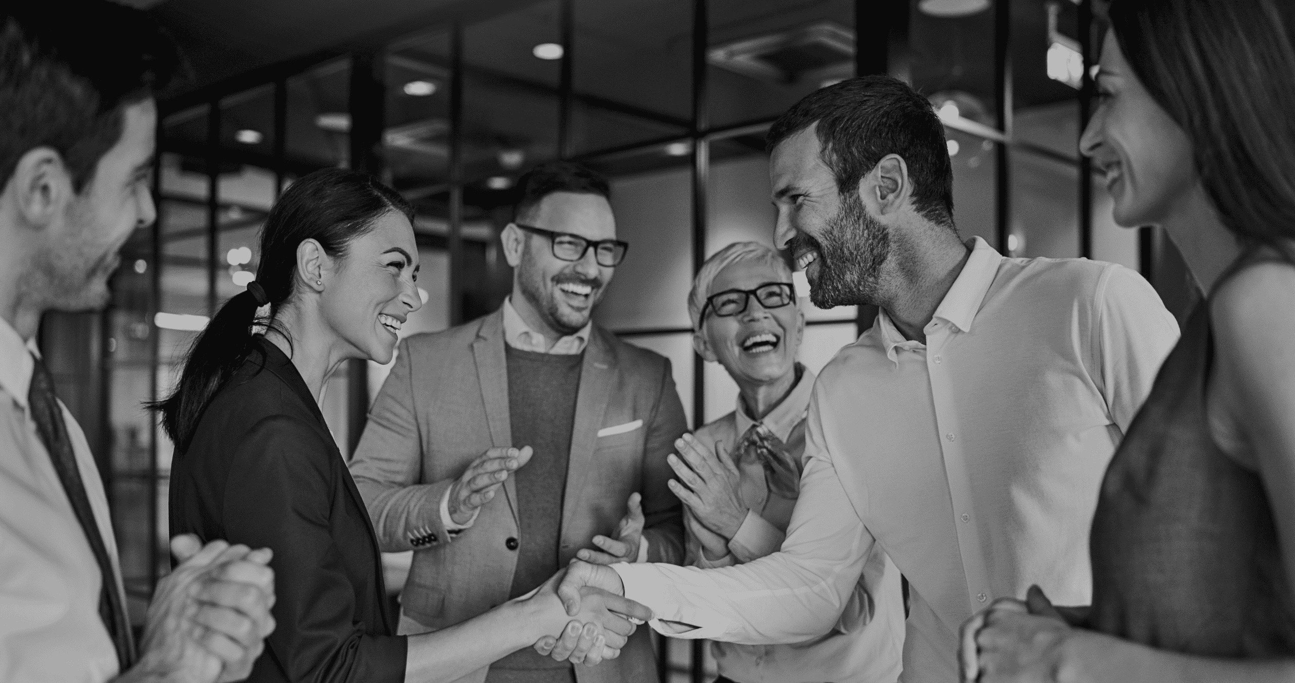 System Partners - SE-Elektronic